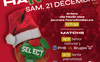 AFFICHE Handball / Noël